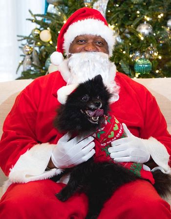 Yogi & santa